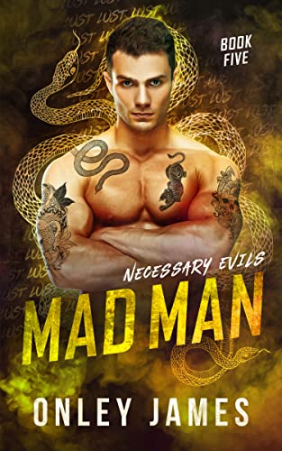 Mad Man (Necessary Evils Book 5)