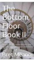 THE BOTTOM FLOOR BOOK II Time travel becomes bizarre and dangerous for Jonathan and Denise