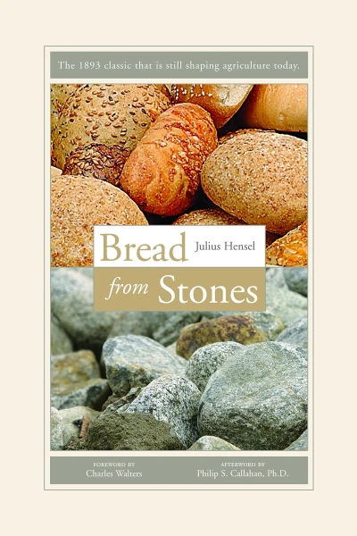 Bread from Stones